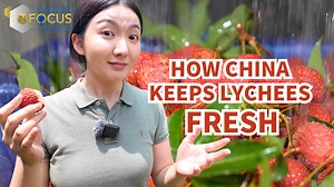 How China keeps fragile lychees fresh for global markets