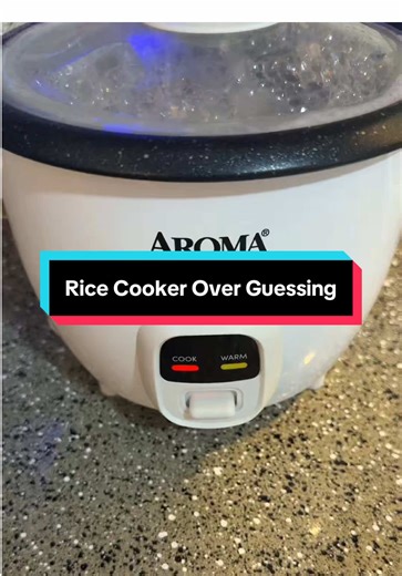 Cocina fácil: Recetas con rice cooker