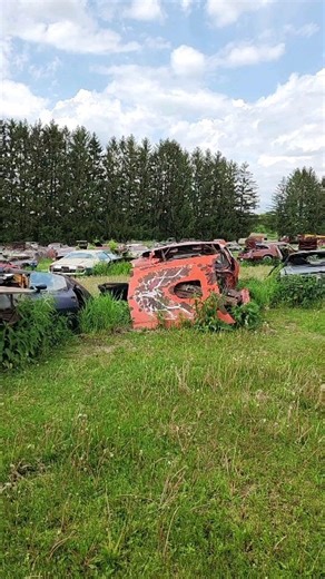 Just a few Trans Am Firebirds sitting here at @elmersautograveyard I only got through 1/3 of the yard in 6 hours. Never got any drone footage. Ran out of time. I'll have to come back. #junkyardfind #junkyard #firebird #pontiac #automotivearcheology #autoarchaeology #barnfinds #barnfind | The Auto Archaeologist
