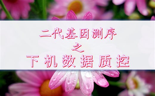 二代测序之下机数据质控