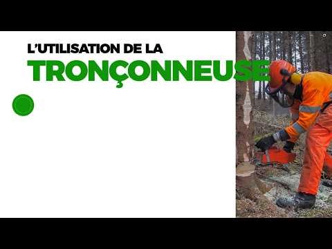 Utilisation d’une tronçonneuse : techniques de base et règles de sécurité