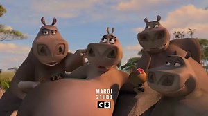 Madagascar 2 : la grande évasion - Film (2008) : diffusions TV, streaming, replay