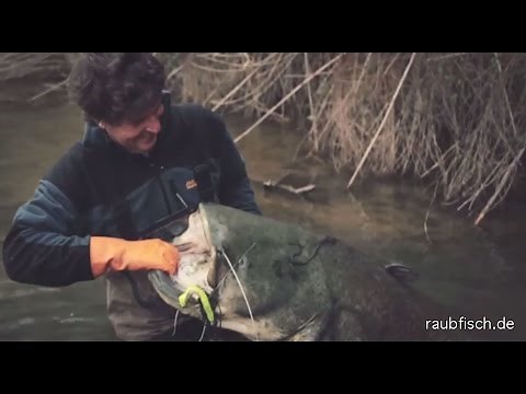 Kunstköder fürs Welsangeln