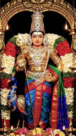 முருகன் இருந்தா எல்லாம் நன்மை தான் 🔱 #devotional #hindugod #trending #muruga #tamilgod