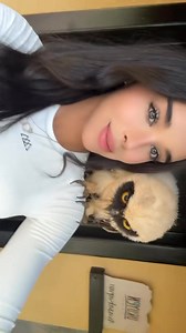 164K views · 9K reactions | Spectacled owl en Campamento Uruyen Canaima Venezuela | Giorgiana Rosas | Facebook