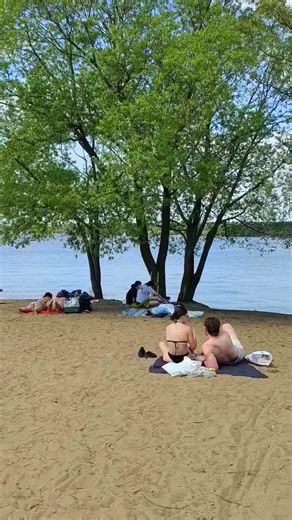 Пляж -54 #shorts Beach 海灘 समुद्र तट ビーチ 해변 شاطئ Strand Plage Playa Praia Spiaggia Pantai ชายหาด