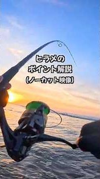 【ヒラメ】絶対投げるべきポイントはココ！解説します。 #サーフヒラメ