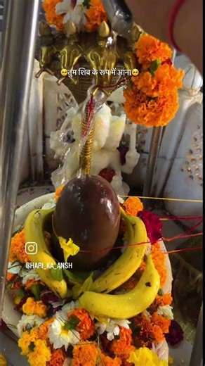 #song #kedarnathsanctury #hindugod #love #kedarnathstutas