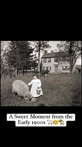 tep back in time with this charming animated scene from the early 1900s! Watch as a sweet little girl lovingly tends to her sheep in a picturesque countryside setting. Notice the gentle sway of the grass, the peaceful grazing of the cattle in the yard, and the quaint farmhouse in the background. This glimpse into the past offers a heartwarming reminder of simpler times. #HistoryInMotion #Early1900s #VintageVibes | Memory Lane Photos