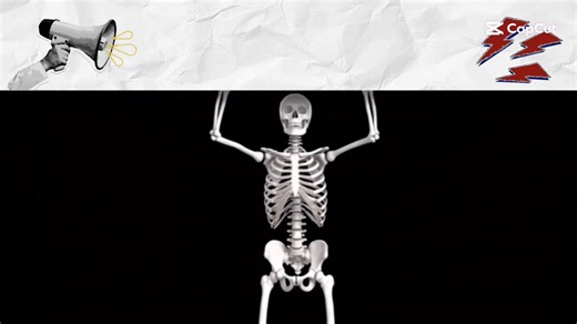 らんま1/2 のムズいチャレンジ