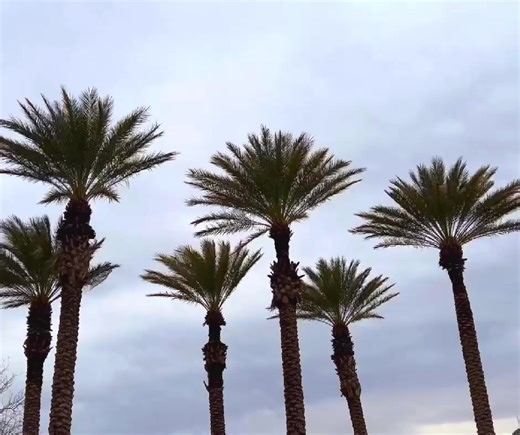 1.2K views · 34 reactions | The US National Weather Service Las Vegas Nevada has issued a high wind warning in effect until 5am Monday morning. Expect wind gusts overnight and take precaution to secure outdoor items. Strong potential for crosswinds, blowing debris, damage to trees and downed powerlines. Stay safe, Henderson. | City of Henderson Government | Facebook