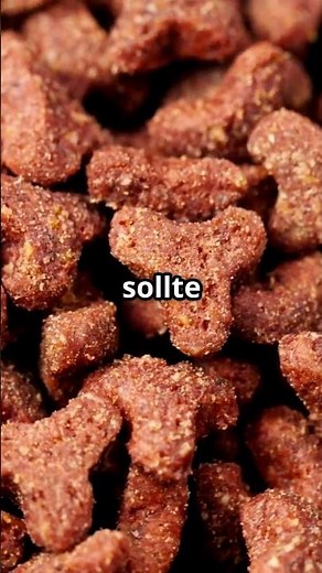 Hochwertiges Katzenfutter erkennen – 3 schnelle Tipps!