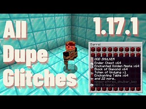 ALL WORKING GLITCHES in Minecraft 1.17.1