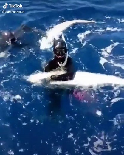 Wrestling a monster fish! #freedive #spearfishing #freediving #fishtok #fishinglife