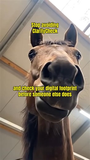 ⚠️ Want to expose everything with one search? | ClarityCheck | Facebook