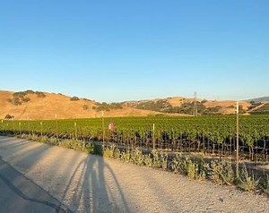 A Bike Ride Through Livermore Wine Country: Photos Of The Week