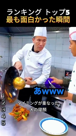 インターネット上の爆笑シーン集🤣 #笑 #面白い #興味深い