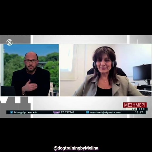 Δεν επιτρέπονται κατοικίδια στα καταφύγια πολιτικής άμυνας! #κυπρος #σκύλος #κουτάβι
