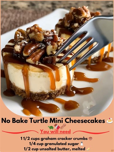 No 🎍 Bake Turtle Mini Cheesecakes 🍰🐢🍫🥜 Ingredients: 1 1/2 cups graham cracker crumbs 🥯 1/4 cup granulated sugar 🧂 1/2 cup unsalted butter, melted 🧈 16 oz cream cheese, softened 🧀 1 cup powdered sugar 🍬 ..... Full Recipe in Coʍmеոτ 💬 🌸 | Recipe Center