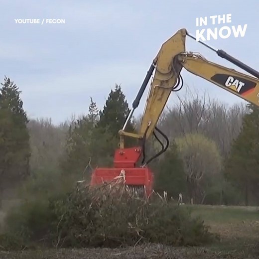 This machine literally eats trees 😋🌲 | In The Know
