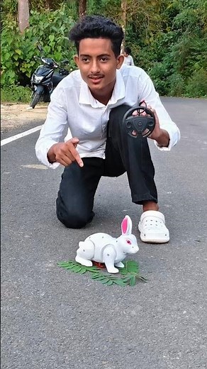 Remote Control Rabbit Unboxing & Full Review |