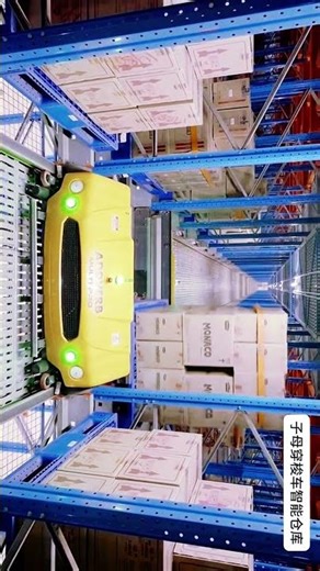Mother Child Shuttle ASRS Warehouse High Density Smart Storage System