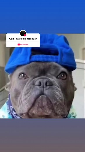 #answer to @rowwzzzz #ed can I have 10 or no#blow #fyp #virial