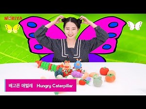 배고픈 애벌레 🐛 Hungry Caterpillar - MV