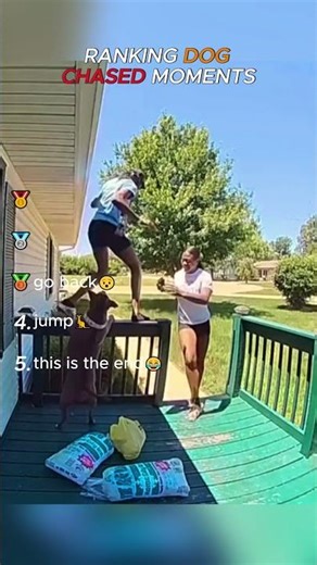 Insane Dog Chases Moments: Part1😲