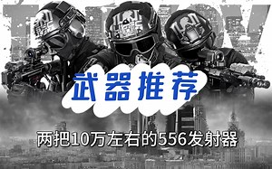 平时自用的两把10万左右556发射器推荐