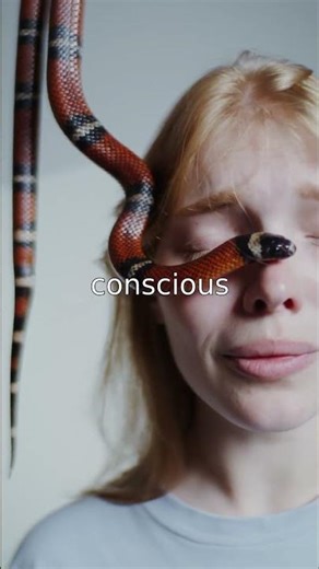 Unlock Your Hidden Personality!