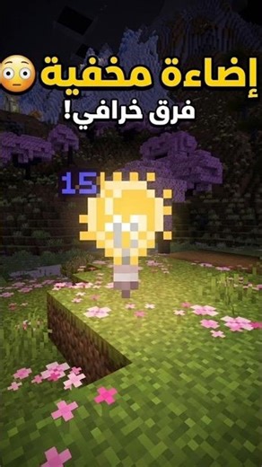 أمر مفيد في ماين كرافت: بلوكة الإضاءة المخفية 💡