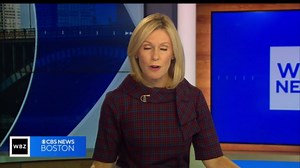 Matthew Lucas, charged with murder in death of Heidi Chase in Freetown, held without bail