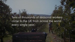 Seasonal Workers' Scheme - what to expect when working in the UK (English)