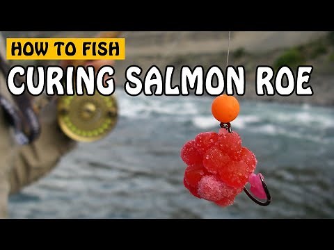 How to Cure Salmon Roe for Bait When Fishing for Salmon and Steelhead