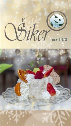 Novoletno voščilo - Šiker