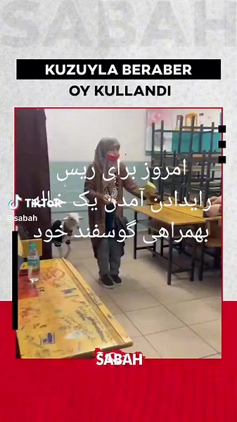 Person and Goat: A Fun Indoor Interaction