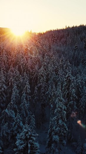 Viking Wisdom #01 - A collection of quotes gathered from the Viking sagas. #viking #vikings