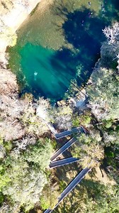 How to visit Troy Springs in Florida. It’s both deep & shallow depending on where you want to dive. It’s great for freediving, scuba diving & swimming. Great for training or getting a dive with some decent depth in! 🤿💦 #divetravel #divetrip #flsprings #flstateparks #scubadivingaddicts #freediving #downto60 #sweetwaterscuba | Kenny Dyal