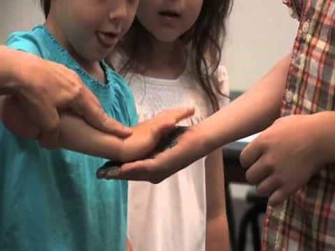 Glitter Germ Activity Teaching Children about Germs