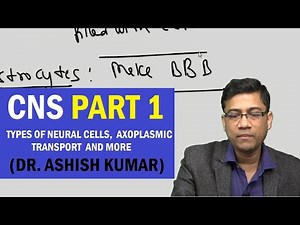 CNS Intro Part 1 Types of Neural Cells & their Functions, Axoplasmic Transport (Dr. Ashish Kumar)