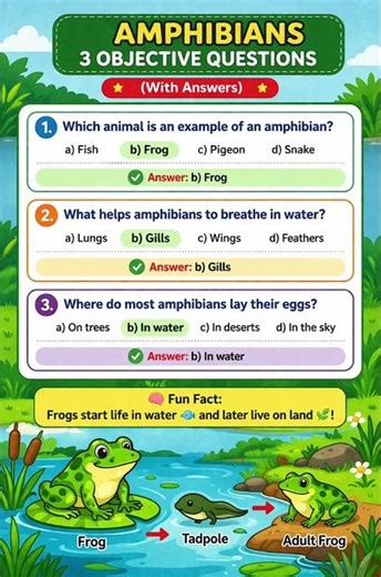 Test your knowledge on amphibians! 🐸📚Can you answer all 3 questions correctly? 🤔