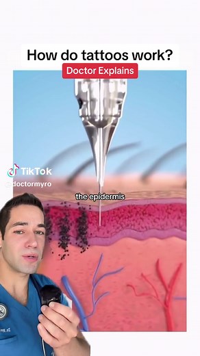 Understanding Tattoo Ink Physiology and Macrophages