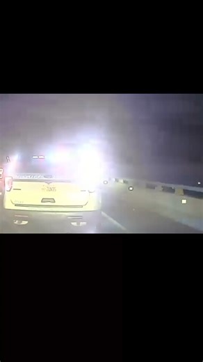 18K views · 99 reactions | The quick thinking and reaction of a deputy in Florida saved the life of her K-9 partner after the dog jumped from a bridge's guardrail following an incident involving an arrest. | WPBF 25 News | Facebook