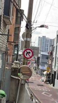 용문중고등학교 앞에서오랜 교문 앞, 시간이 겹겹이 쌓인다.이곳은 용문중학교·용문고등학교 앞.서울특별시 성북구 안암동2가.