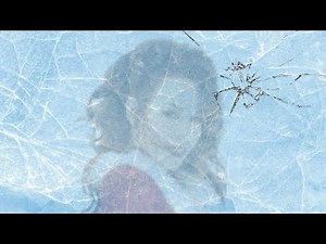 THE DEFROSTING HAS ENDED