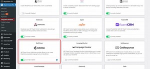 MailChimp Integration in WP Fluent Form WordPress plugin