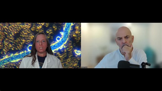 AI Acceleration, Brain Computer Interface With Self Assembly Nanotechnology In the Blood