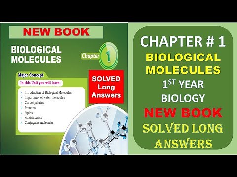 1st year Bio | long answers |Chapter 1 | Biological Molecules |New Book | solved exercise | STB