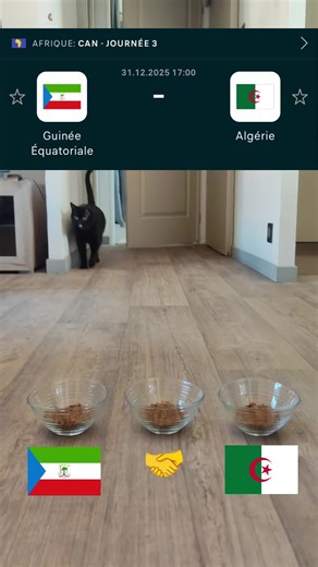 Prédiction pour le Match Guinée-Algérie AFCON 2025
